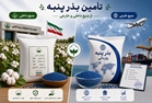 برنامه ریزی تأمین بذر پنبه ؛ اولویت اصلی اداره کل پنبه و دانه های روغنی