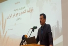 ضرورت تفکیک اراضی و بازنگری در الگوی مدیریت گندم آبی بر اساس دسترسی به آب/کیفیت مطلوب بیش از ۸۵ درصد گندم کشور