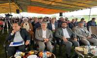 تأمین کامل کودهای شیمیایی برای شالیکاران شمال کشور/ هشدار درباره مصرف نادرست کودها 