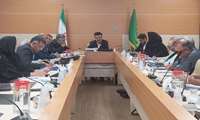 برگزاری بیست و هشتمین جلسه کمیته فنی گندم کشور با محوریت بررسی وضعیت تولید و خرید تضمینی گندم