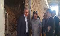مدیرکل دفتر امور سبزی و گیاهان جالیزی: خودکفایی در تأمین بذر سیب‌زمینی نیازمند ارتقای دانش و امکانات فنی است