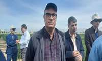 ۹۹ درصد ارقام غلات مصرفی کشاورزان در تحقیقات «تات» معرفی شد