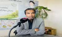 مدیریت هوشمندانه آب، کلید رکوردشکنی تولید سیب‌زمینی در خراسان رضوی/ پیش‌بینی برداشت بیش از ۱۱۴ هزار تن محصول