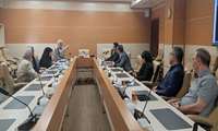 نشست تخصصی بررسی نیاز بذر وارداتی پنبه و تدوین راهکارهای تأمین آن برگزار شد