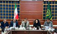 آغاز کشت پاییزه در ۹ شهرستان استان بوشهر/ برنامه‌ریزی برای کشت ۱۵۰ هزار هکتار از اراضی