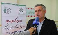 تولید گندم آذربایجان‌شرقی از ۶۵۰ هزار تن عبور کرد
