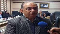 تولید ۴۶۰ هزار تن بذر‌ گندم در کشور‌ در سال زراعی جاری/ آغاز تولید آرد کامل در کشور
