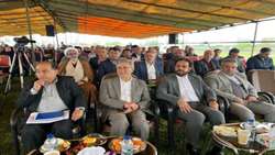 تأمین کامل کودهای شیمیایی برای شالیکاران شمال کشور/ هشدار درباره مصرف نادرست کودها 