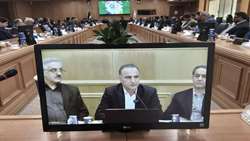 اصلاح الگوی کشت نیازمند همکاری فرابخشی است
