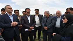 پیش‌بینی تولید ۱۱ میلیون تن گندم در سال جاری پوشش بیمه کشاورزی باید افزایش یابد 