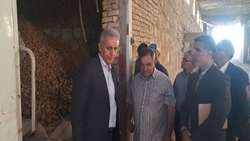 مدیرکل دفتر امور سبزی و گیاهان جالیزی: خودکفایی در تأمین بذر سیب‌زمینی نیازمند ارتقای دانش و امکانات فنی است