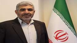 خرید قریب به 300 هزار تن گندم در استان زنجان