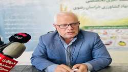 توسعه الگوی کشت پاییزه چغندرقند در خراسان رضوی
