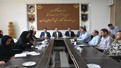 معاون وزیر جهادکشاورزی: منافع ارز ترجیحی به جیب واردکنندگان می رفت