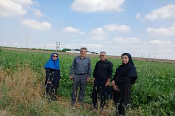 محمدی1