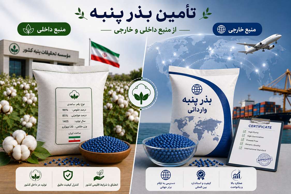 پنبه 
