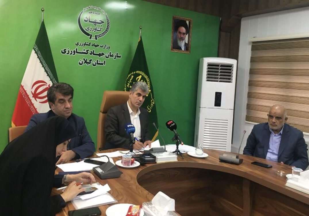 برنج 
