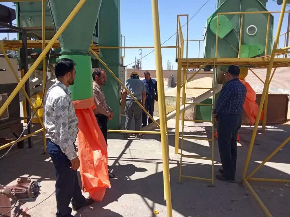 جنوبی 