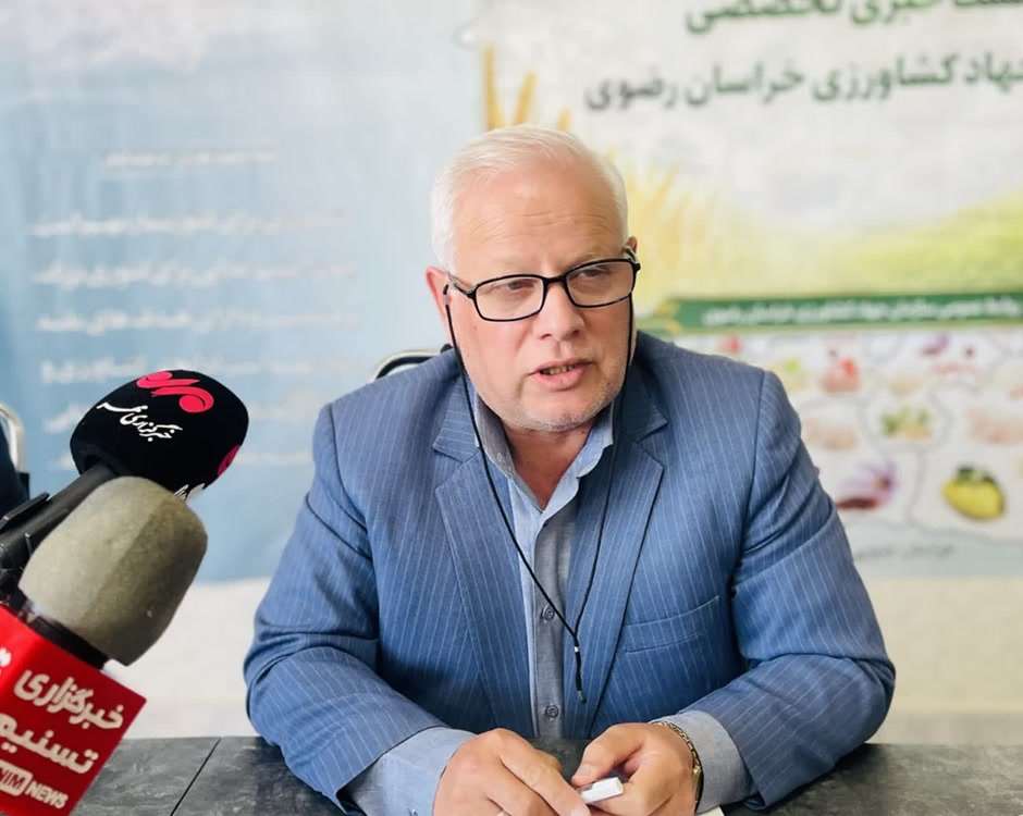 چغندرقند 