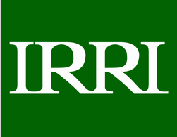 موسسه بین‌المللی تحقیقات برنج (IRRI)