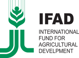 صندوق بین‌المللی توسعه کشاورزی (IFAD)