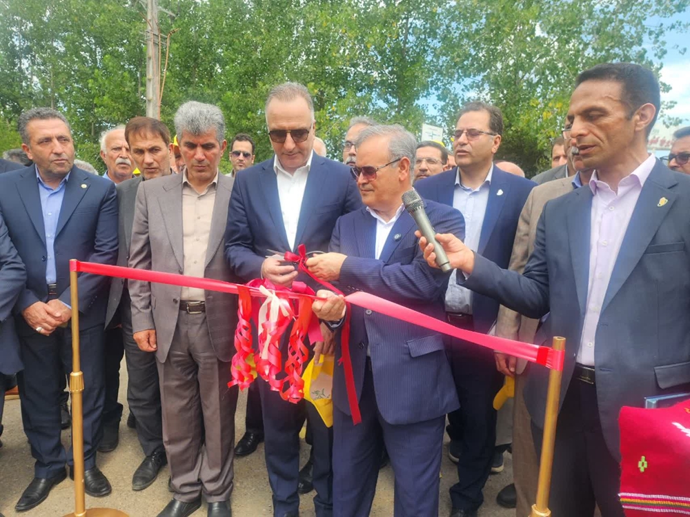 دو رقم جدید برنج «تی‌تی» و «کویر» رونمایی شد/ توسعه سبد ارقام پرمحصول و کم‌آب‌بر کشور