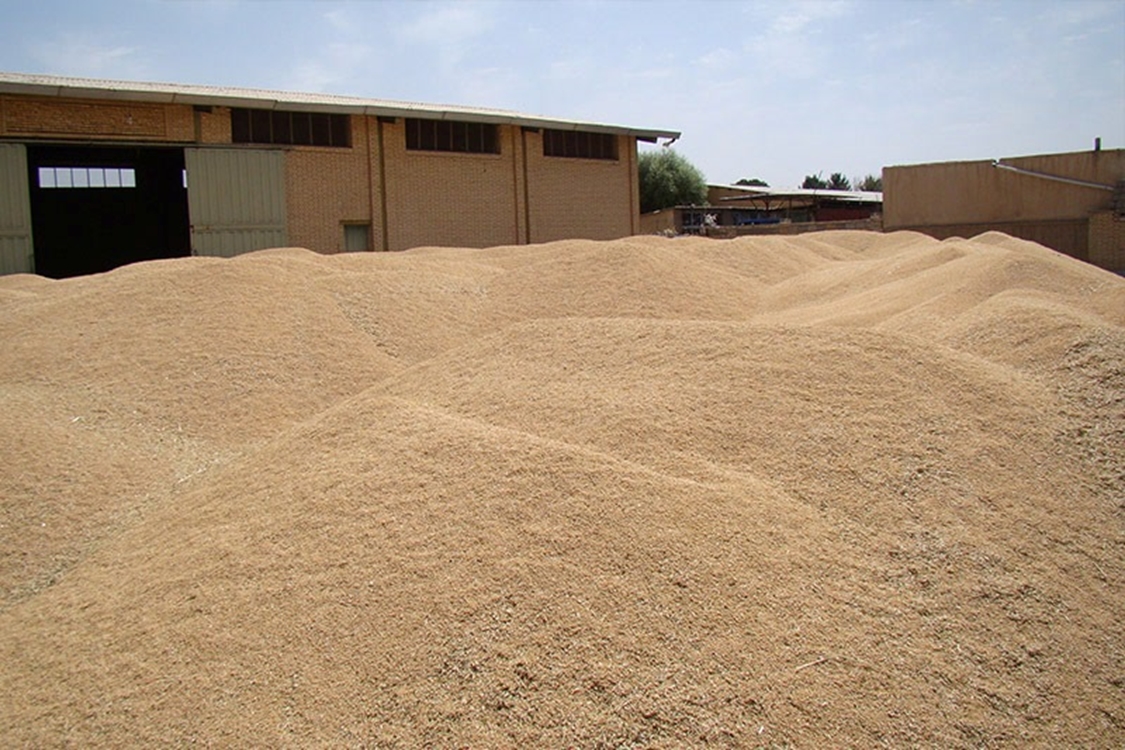 ۸۵ هزار میلیارد ریال به گندمکاران کردستانی پرداخت شد