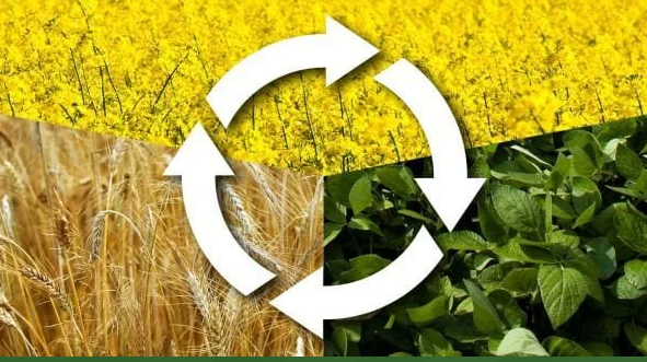 خاک‌ورزی مرسوم،تهدید منابع پایه و بهره‌وری پایدار تولید