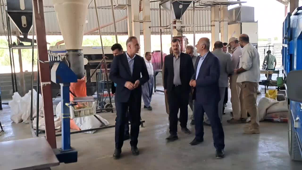 یارانه پنج هزار تومانی بذر گندم دیم و جو به کشاورزان پرداخت می‌شود