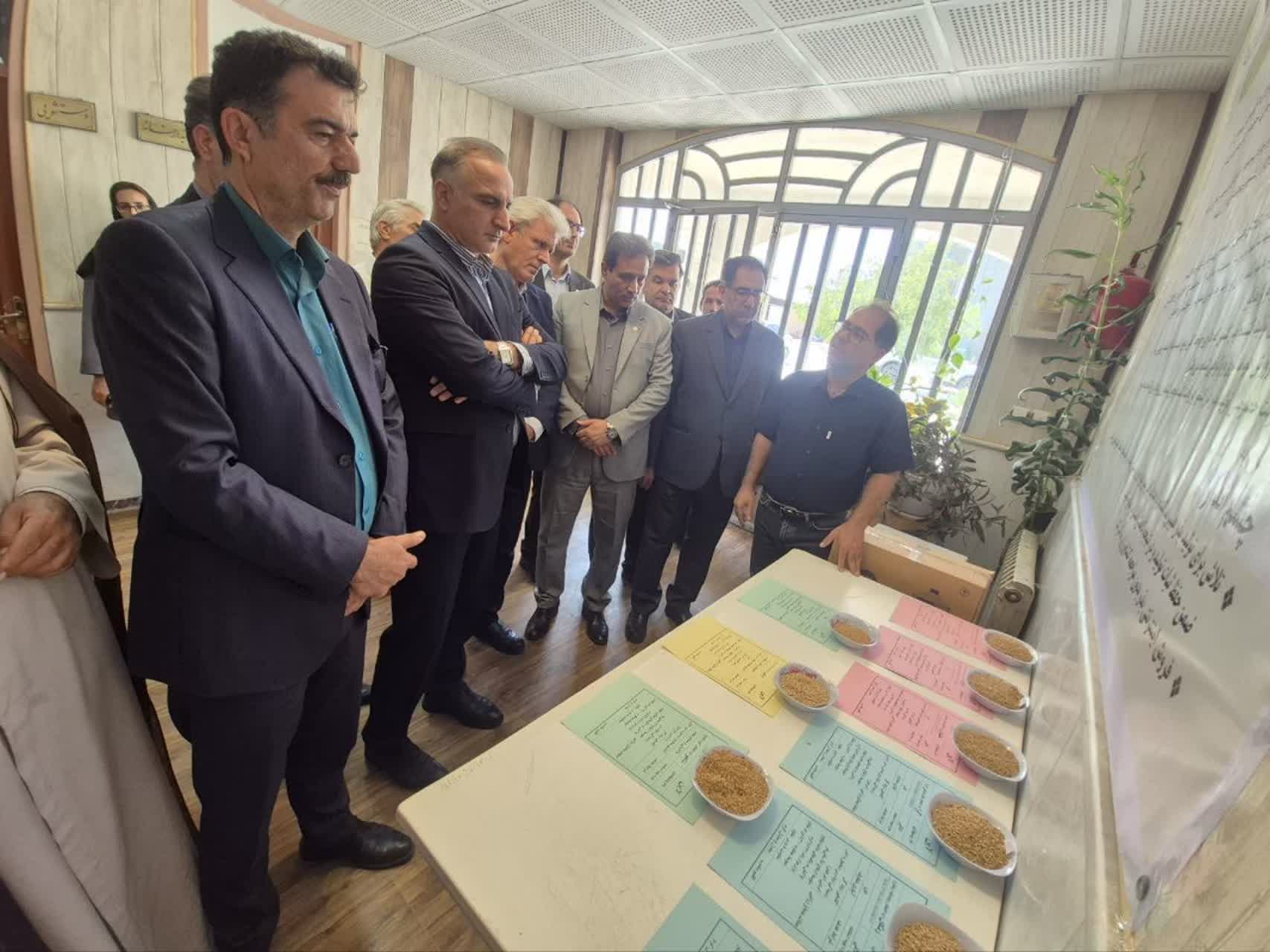 بازدید معاون وزیر جهاد کشاورزی از زنجیره تولید، فرآوری و بسته‌بندی بذر گندم گواهی‌شده بالادربند