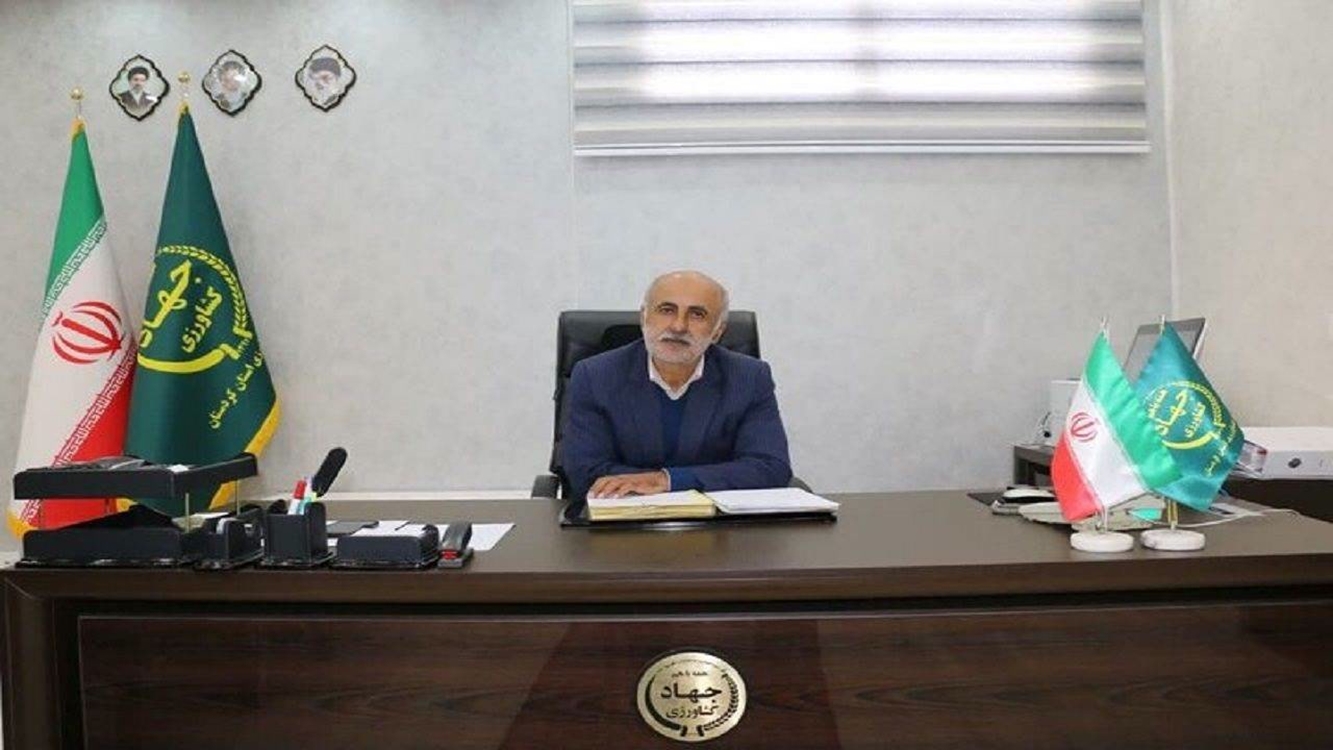 عبور از مرز ۶۶۳ هزار تن خرید تضمینی گندم در استان کردستان