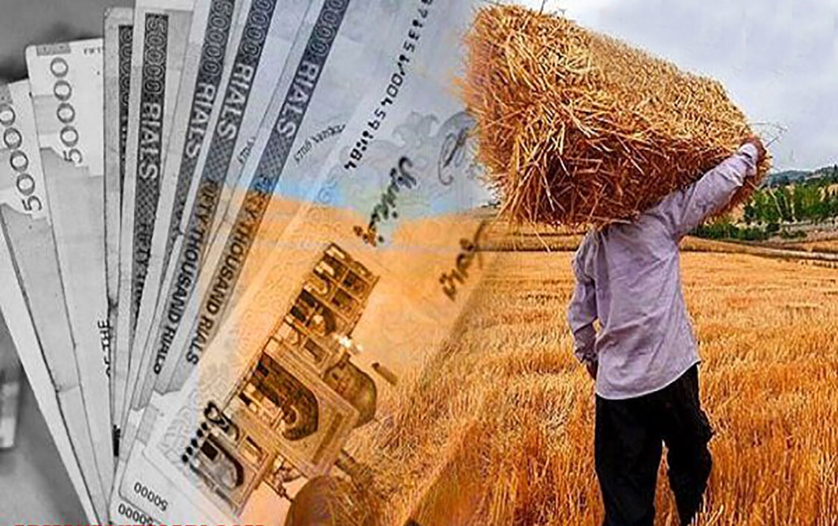 پرداخت ۶۰ درصد از مطالبات گندم‌کاران خراسان جنوبی