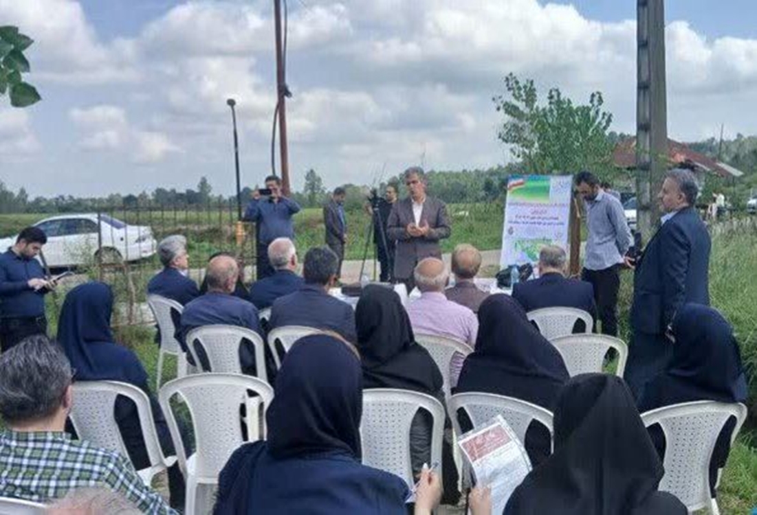 هدف‌گذاری ۱۱۰ هزار هکتاری کشت دوم در گیلان/ تولید محصول سالم با بارکد